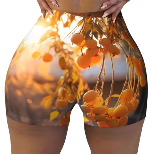 Dried Persimmon Pattern Sports Shorts, high Elastic Slim Fitness Pants, Suitable for Yoga/Leisure/Daily wear