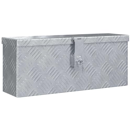 vidaXL Boîte en Aluminium Argenté Chariot à Outils Caisse à Outils Atelier