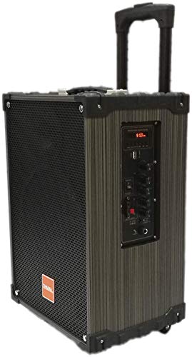 Image of TAKARA Karaoke Speaker T-9110 Portable Trolley 10 Inch Woofer Multimedia Bluetooth Speaker, with Audio Recording, Rechargeable Battery, USB,TF, PA System with 2 Wireless Mic Outdoor Wooden Speakers