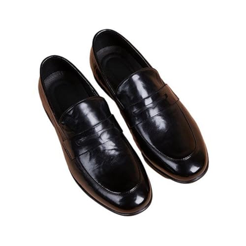 [GUREITOJP] rWlXV[Y Y V[NbgV[Y v [t@[ 5cmAbv L h Ղ y x[VbN JWA EH[LOV[Y RtH[g l  ʋΗp tH[} 25.0 cm