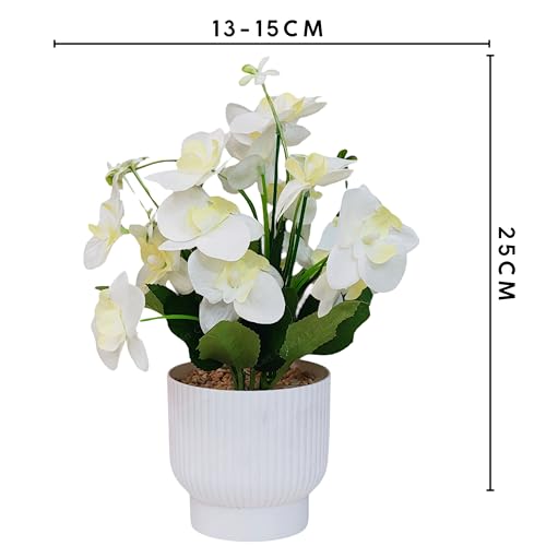Image of CURATED CART Flower Pot with Artificial Flowers - Orchid White Flower with White Vase | Ideal for Home Decor | Office Decor | Gifting | Size 25 x 15cm