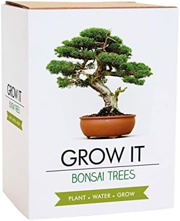 Gift Republic Grow Your Own Bonsai Kit - Indoor Bonsai Tree Plant Mini Tree Growing Set- Gift Idea