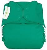 BumGenius Freetime All in One Cloth Diaper - Snap - Hummingbird - One Size