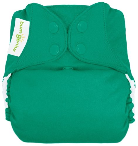 bumGenius Freetime All-in-One One-Size Snap Closure Cloth Diaper (Hummingbird)