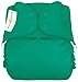 BumGenius Freetime All in One Cloth Diaper - Snap - Hummingbird - One Size