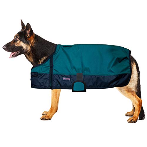 HILASON 200 GSM 600D Winter Turnout Waterproof Dog Blanket Coat and Blankets Warm Jackets Horse Pet for Snow Cold Weather
