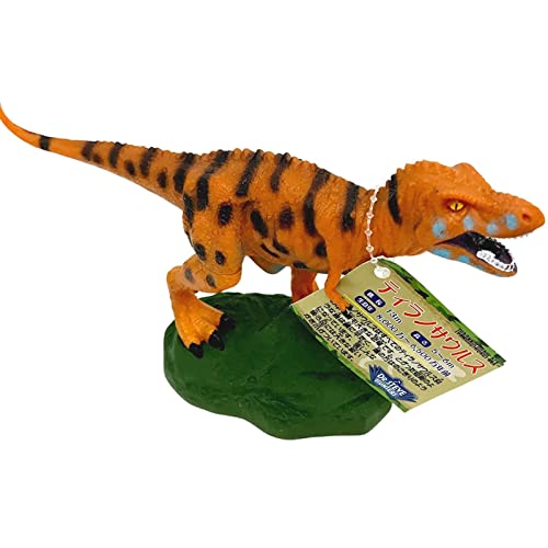 Geoworld tBMA eBmTEX ̒ 18cm ȈՃpbP[W CL1546K* Ki