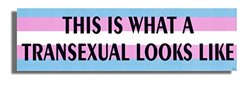 Gear Tatz - This is What A Transexual Looks Like