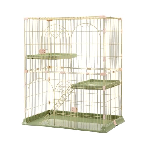  L P[W LbgP[W 2i LQ[W  LbgnEX lR nEX i  ی Eh~ ybgP[W (Green + Plastic)