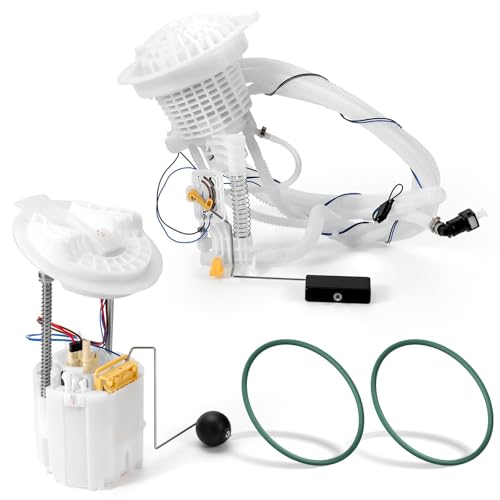 Fuel Pump Assembly Left &Right Kit Fits for Chrysler 300