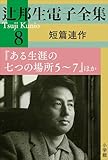 辻邦生電子全集 8巻 短篇連作　『ある生涯の七つの場所5～7』ほか
