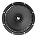 Focal ASE165 Auditor EVO Series 6.5