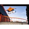 Zero Skateboard Single Skull - 8.0