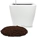 Aquaphoric Self Watering Planter (11") + Fiber Soil = Foolproof Indoor Home Garden. Modern Decorative Planter Pot for All House Plants, Flowers, Herbs, Vegetables, Tropical. Easy/Looks Great.