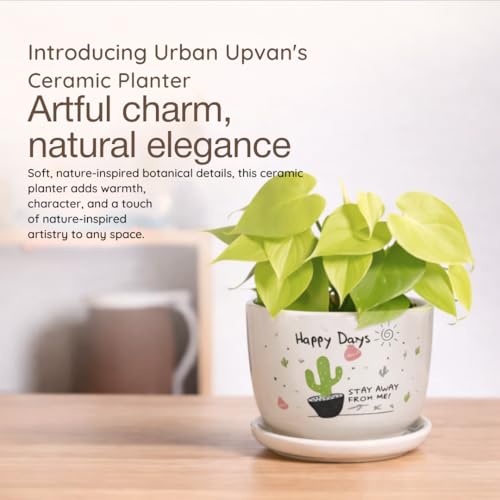 Image of Urban Upvan Happy Days Printed Ceramic Pot with Tray - Premium Decorative Planter for Indoor & Outdoor Plants, Modern Elegant Flower Pot for Home, Garden & Office