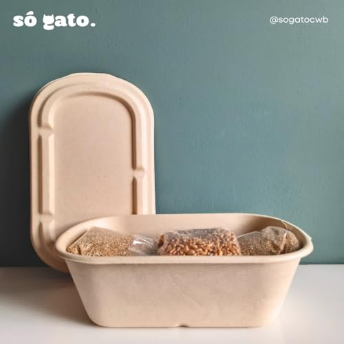 Kit 02 Graminhas Orgânicas Para Gatos - Petisco 100% Natural - SóGato