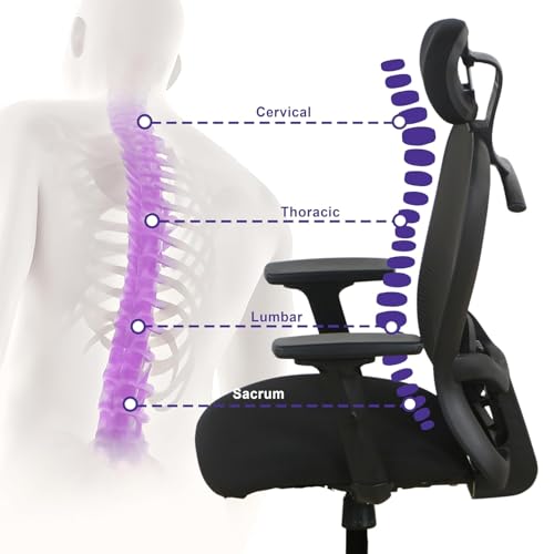 Image of Wakefit Safari Ergonomic Office Chair for Work | 3 Year Warranty | Single Lock and Recline | Soft Armrest with 3 Dimension adjustability| Strong Nylon Base | 8+ Hours of Comfort| Black