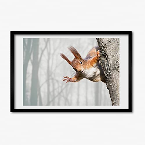 Cadre photo affiche écureuil 60x40 cm tableau décoratif en bois MDF Tulup