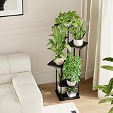 Bamworld B0D2Y7N2X1 lato 4