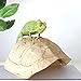 POPETPOP Turtle Shell Climbing Platform Aquarium D Cor Reptile Hideout Terrarium Cave Basking Spot for Freshwater Saltwater Fish Tanks