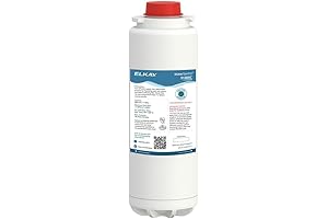 Commercial Water Fountain With Bottle Filler and Dual Filter