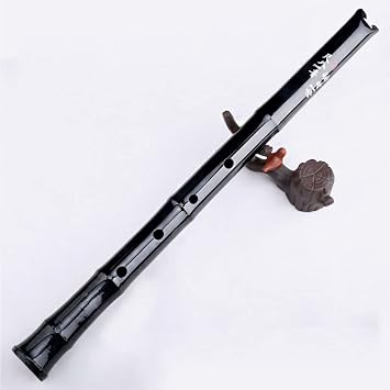 Old Bamboo Shakuhachi, Five-Hole G Flute Instrument, Chinese Traditional Folk Musical Instrument, Suitable for Professionals and Beginners,Black,G