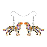 LONYOO Labrador Retriever Gifts - Pendientes de perro bohemios colgantes de acrílico, joyería bohemia para amantes de los perros, regalos para mujeres, mamás, dueños de mascotas, Medio, Acrílico, Sin