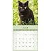 Carousel Calendars, Black Cats 2026 Wall Calendar, 12'' X 12'', 16-Month Calendar with Stapled Binding
