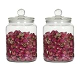 LIANGGM Mason Jars Tarro de Albañil Juego De 2 Tarros Cristal For Galletas, Grandes, Con Tapas, Herméticos Conservas(22x13.8cm)