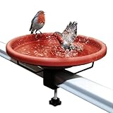 Vogeltränke auf der Terrasse, abnehmbare Schüssel mit Fester Klemme, Wand, Terrasse, Garten, Balkon