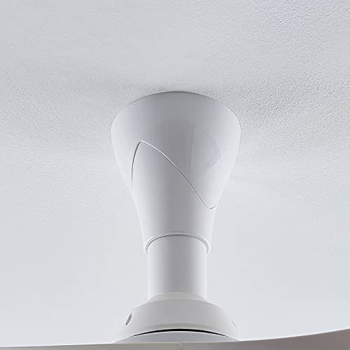 Ventilatore da soffitto con lampada 'Borga' a