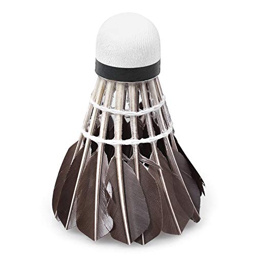 Andoer 12 pçs/barril Duck Feather Badminton volantes Indoor Sports Training Badminton Birdies Balls