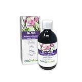 Epilobio (Epilobium parviflorum) erba Tintura Madre analcoolica Naturalma - Estratto liquido gocce 500 ml - Integratore alimentare - Vegano