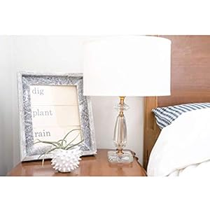 BarnwoodUSA LLC Farmhouse Rustic Signature Picture Frame Reclaimed Wood Photo FrameWooden Wall Frame for Living Room Bedroom Office Display Made in USA 20 x 24 White Wash