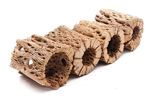 Image of 3, 6, 9, 12 Inch All Natural Teddy Bear Cholla Wood Extra Hollow Untreated Organic Aquarium Driftwood Decoration Chew Toy Shrimp Crab Cichlid Nano Tank Birds 1 or 5 Pieces (1 Piece, 3 inch)