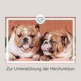 CaniMove Cardio Maxi - tierärztliches Ergänzungsfutter für große Hunde zur Unterstützung von Herz, Blutdruck und Kreislauf, 1 Packung (100 Kapseln)