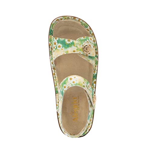 Alegria Womens Vienna Coming Up Daisies Leather Sandal 9 M Us #TOP3