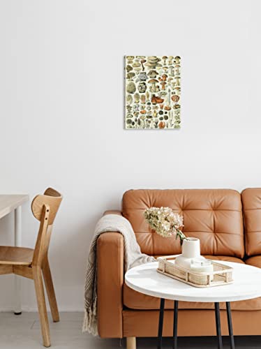 Rusenbao Vintage Botanical Mushroom Poster Canvas Wall Art Prints Decor For Office Home Living Room Kitchen Dining Room,Mushroom Themed Boho Farmhouse Style Art Gifts，Paintings Art Decor 11X14 Inches #TOP1