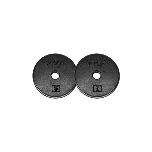 Yes4All Standard 1-inch Cast Iron Weight Plates 5, 7.5, 10, 15, 20, 25 lbs (Single & Pair)
