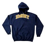 Emory Eagles 50/50 Blended 8-Ounce Vintage Arch Hooded Sweatshirt, Large, Navy