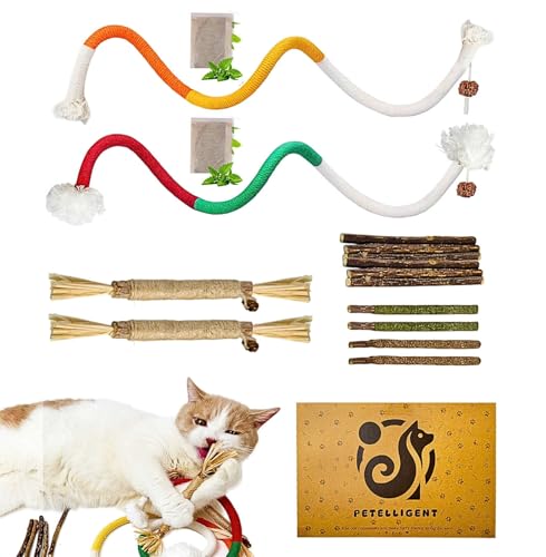 Catnip-Chew-Toys-for-Cats-12-Pack-Cat-Toys-with-Silvervine-Sticks-Natural-Silvervine-Stick-Cage-Balls-Bell-Balls-for-Indoor-Cats Catnip Chew Toys for Cats, 12 Pack Cat Toys with Silvervine Sticks, Natural Silvervine Stick Cage Balls & Bell Balls for Indoor Cats - Image 1