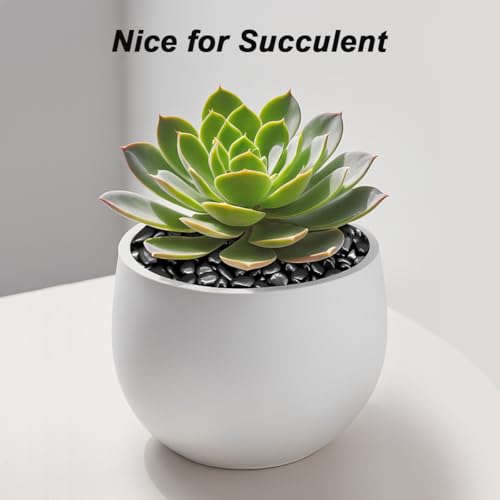 Image of Garden Landscaping Stones, Black River Rocks, Decorative Ornamental Pebbles | Gravel Filler For Flower Bed, Fish Tank, Plants, Vases, Succulents, Indoor & Outdoor Home Decoration
