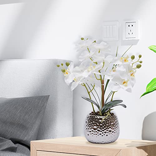 Fleurs de phalaenopsis pour table et salon de style moderne - 5