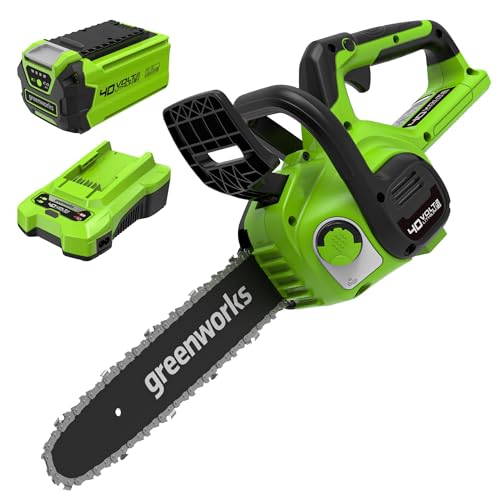 Greenworks Akku Kettensäge mit Akku und Ladegerät, 12 Zoll (30...