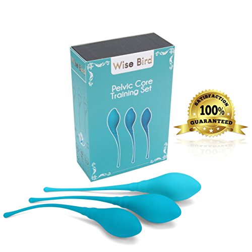Wise Bird Kegel Weights – Doctor Recommended 3 Piece Silicone Vaginal Kegels Set for Women for Bladder Control and Pelvic Core Training – Includes Instructions