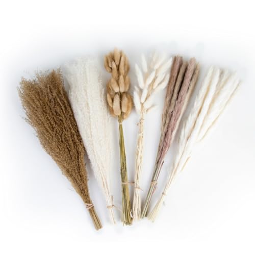 Ramo de Flores Secas, Paquete de 6 para Decoración miniatura 1