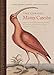 The Curious Mister Catesby: A
