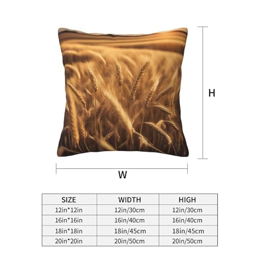 Housse de coussin champ de blé lavable pour protéger et décorer votre canapé