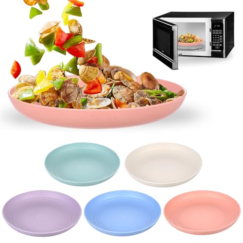 BieMian 5 STK Kunststoffplatten Wiederverwendbare, 23cm Camping Teller...