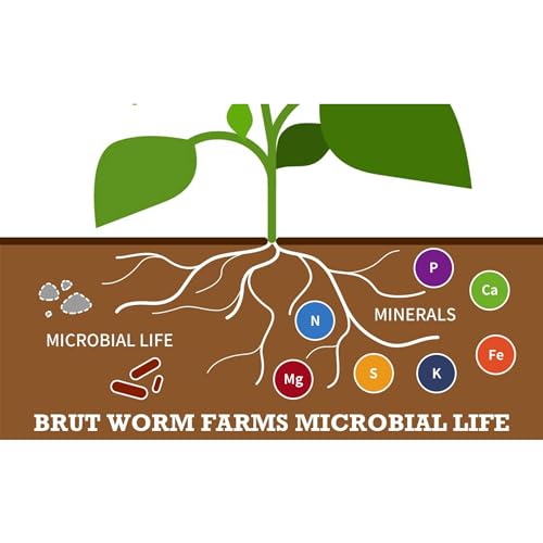 Brut Organic Chicken Compost 1 Cubic ft Fertilizante 2 Pack miniatura 6